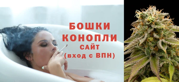 стаф Бородино