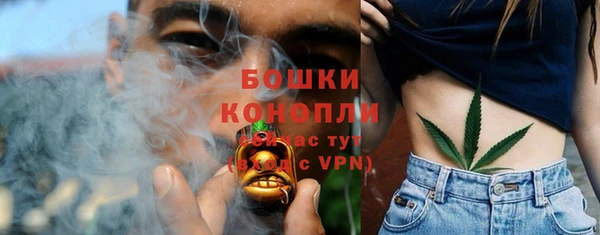 стаф Бородино