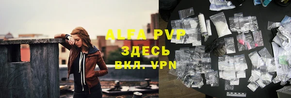 стаф Бородино