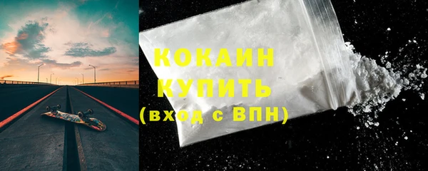 стаф Бородино