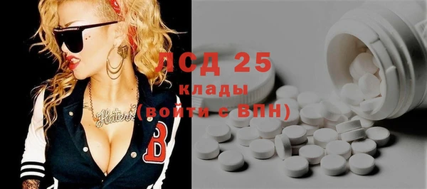 стаф Бородино