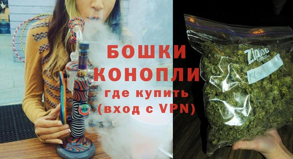стаф Бородино