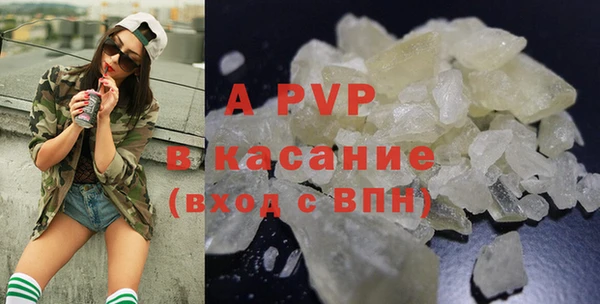 стаф Бородино