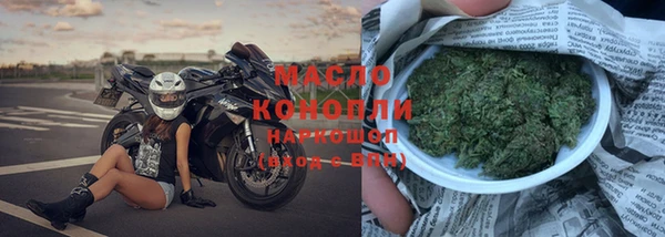 стаф Бородино