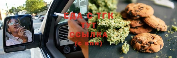 стаф Бородино