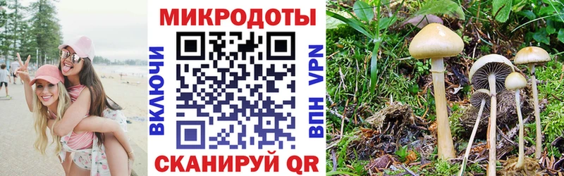 Псилоцибиновые грибы ЛСД Купить закладки Балей